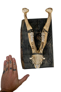 Freya bindrune & pig jawbone wall hanger