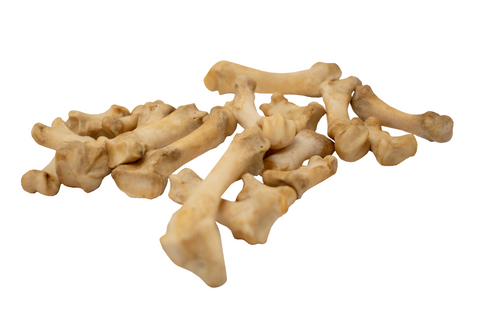 Image of black bear toe & foot bones