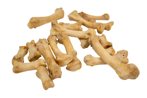 Image of black bear toe & foot bones