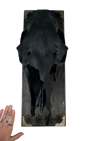 Image of blackened elk skull & helm of awe wall hanger