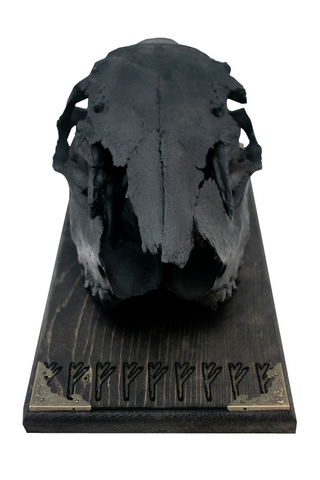 Image of blackened elk skull & Fehu runes (for a prosperous home) wall hanger