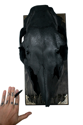 Image of blackened elk skull & Fehu runes (for a prosperous home) wall hanger