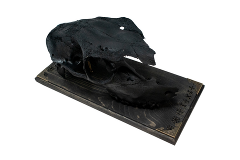 Image of blackened elk skull & 9 Helms wall hanger