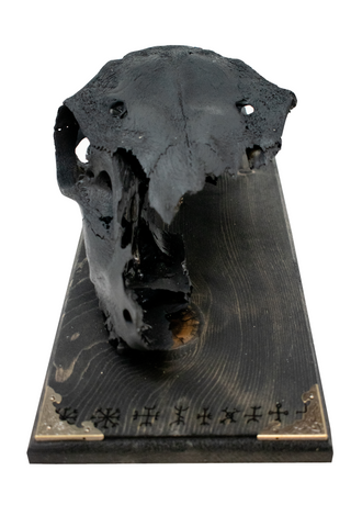 Image of blackened elk skull & 9 Helms wall hanger