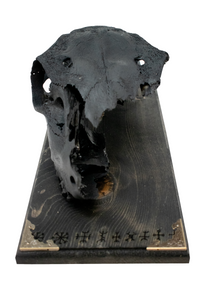 blackened elk skull & 9 Helms wall hanger