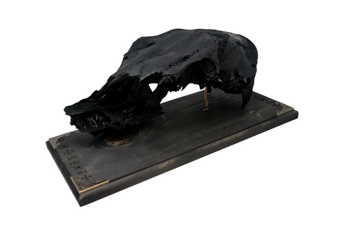 Image of blackened elk skull & 9 Helms wall hanger