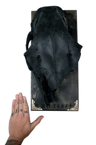 Image of blackened elk skull & 9 Helms wall hanger