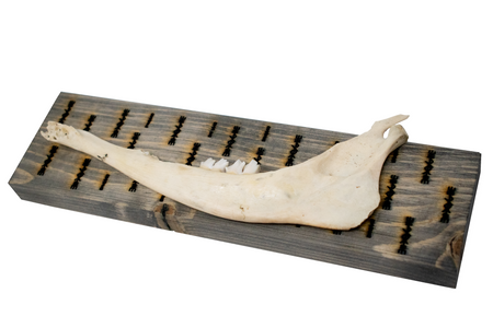 bindrune deer jawbone wall hangers