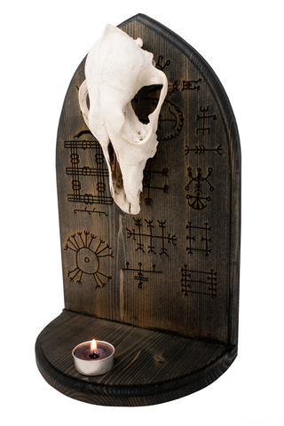 Image of Coyote skull & Icelandic magical staves altar