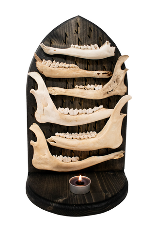 Image of Death rune & deer jawbone altar