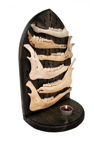 Image of Death rune & deer jawbone altar