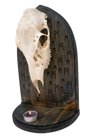 Image of Mannaz rune & deer skull altar