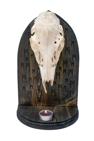 Image of Mannaz rune & deer skull altar