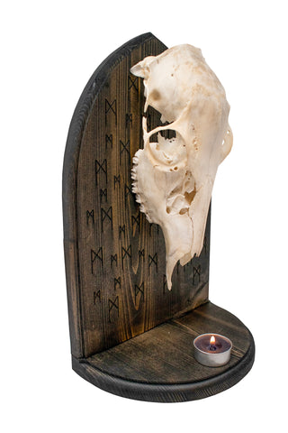 Image of Mannaz rune & deer skull altar