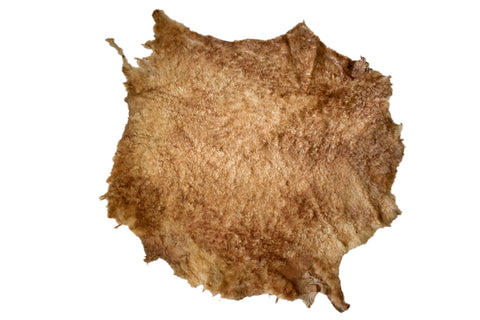 Image of sheep skin