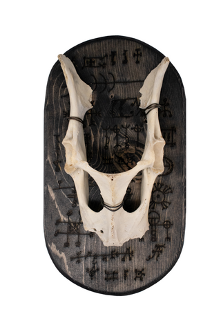 Image of Deer hip bone & Icelandic magical staves wall hanger