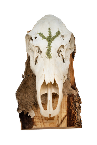 Image of Mossy Algiz Rune Elk Skull Hanger