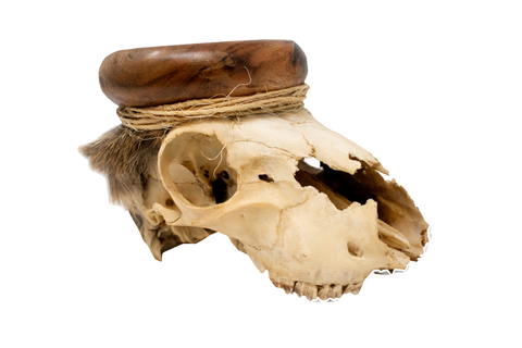 Image of Loki bindrune deer skull offering bowl