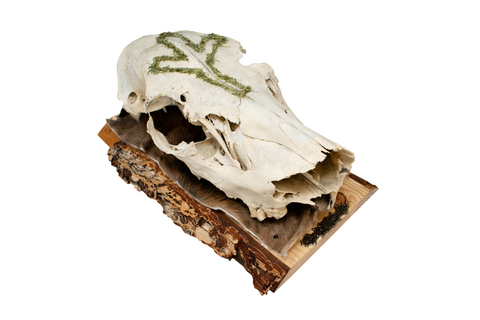 Image of Mossy Algiz Rune Elk Skull Hanger #2