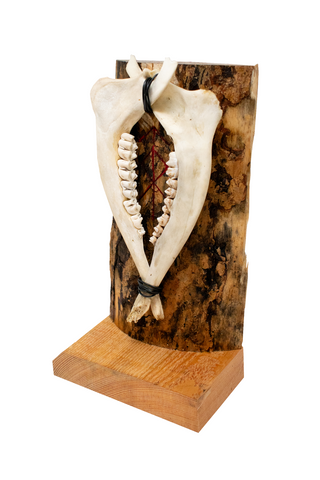 Image of Home protection double deer jawbone altar