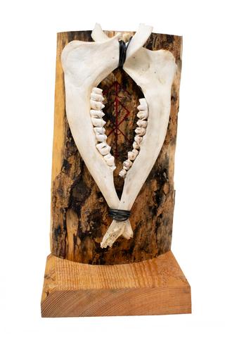 Image of Home protection double deer jawbone altar