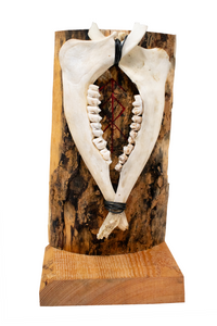 Home protection double deer jawbone altar