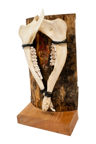 Image of Odin bindrune double deer jawbone altar