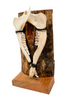 Odin bindrune double deer jawbone altar