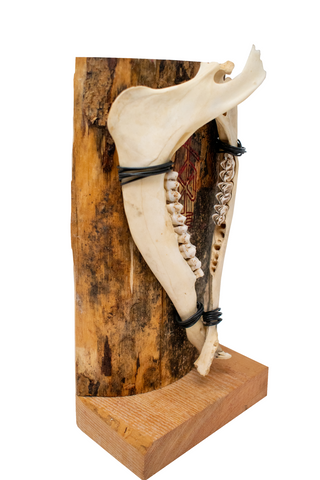 Image of Odin bindrune double deer jawbone altar