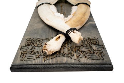 Image of Odin bindrune & knotwork double elk jawbone hanger