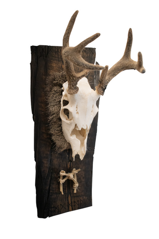 Image of wolf bone mannaz rune european mount