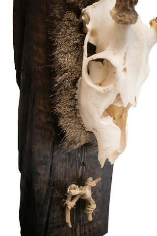 Image of wolf bone mannaz rune european mount