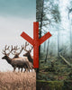 Algiz forest sticker