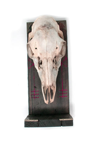 Image of Odin bindrune deer skull altar