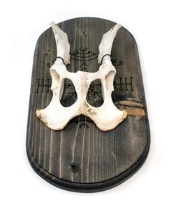 veldismagn & deer hip wall hanger