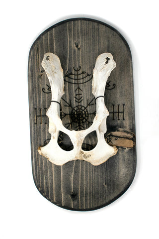 Image of veldismagn & deer hip wall hanger