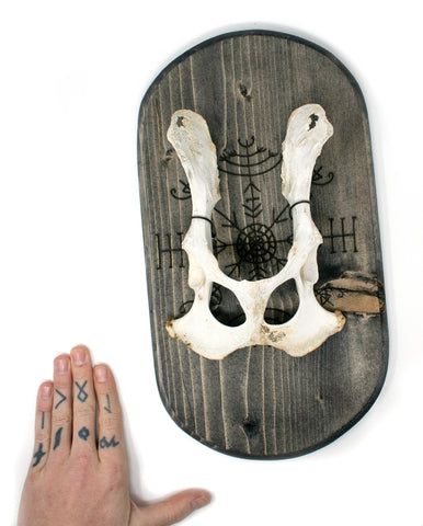 Image of veldismagn & deer hip wall hanger