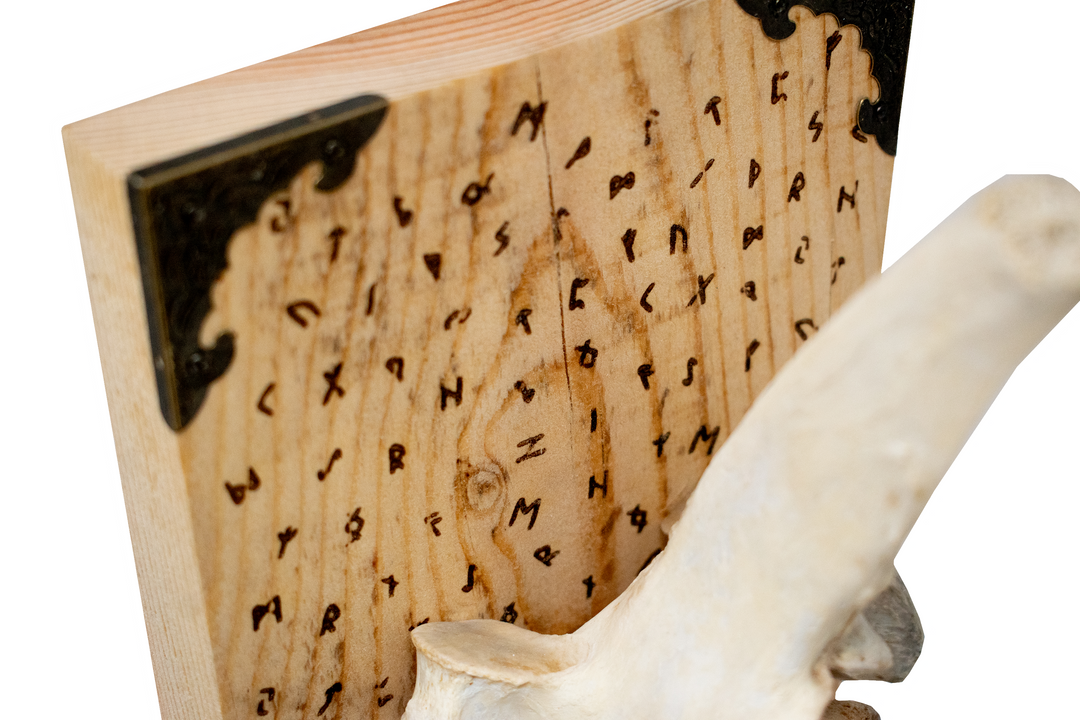 runic cow vertebra altar