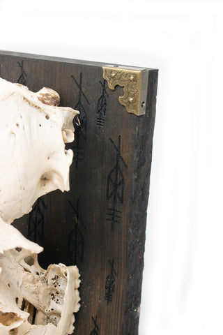 Image of repeating Odin bindrune deer skull altar