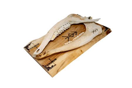 home protection double elk jawbone hanger