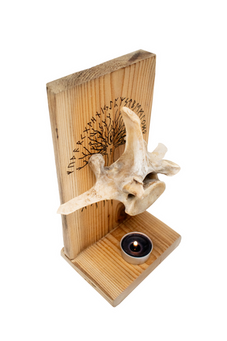 Image of Yggdrasil cow vertebra altar