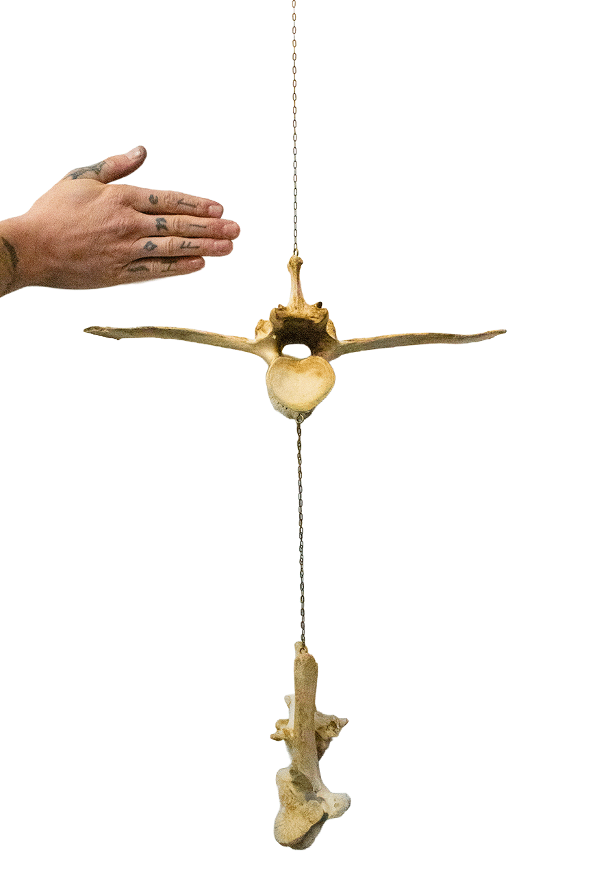 Elk & cow bone wind chime