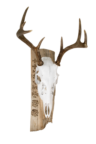 Image of 9 helms euro mount