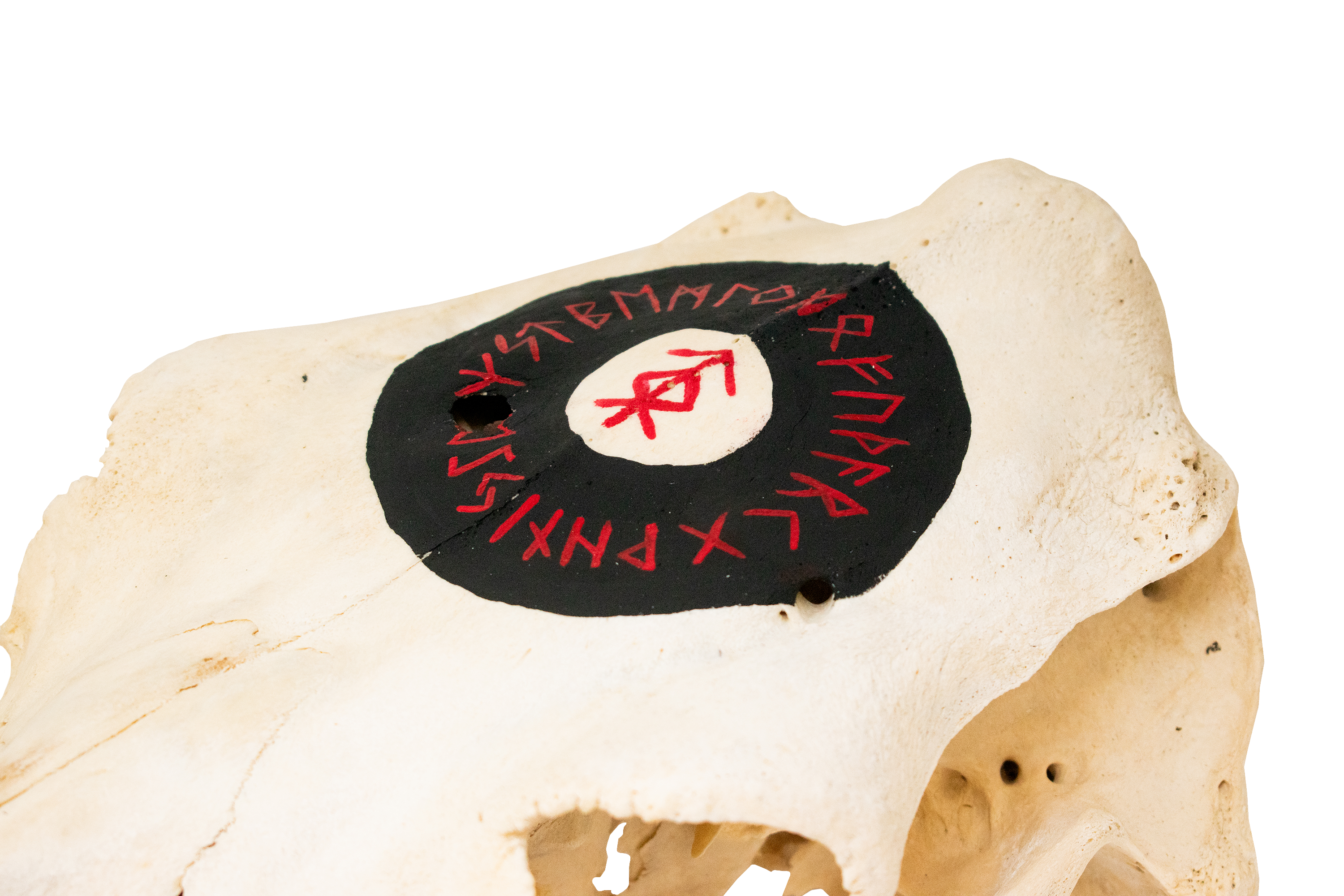 home protection bindrune cow skull