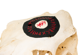 home protection bindrune cow skull