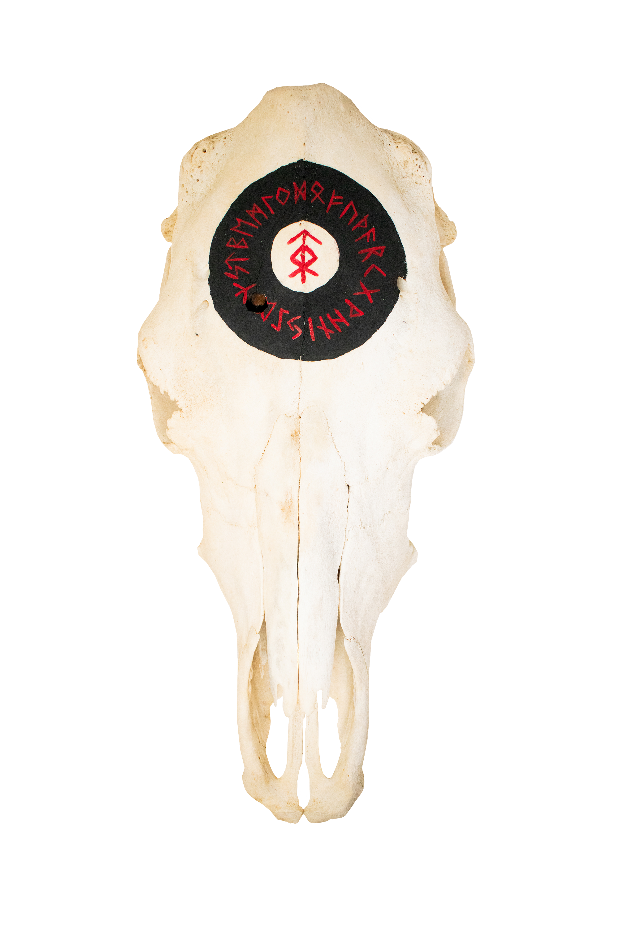 home protection bindrune cow skull