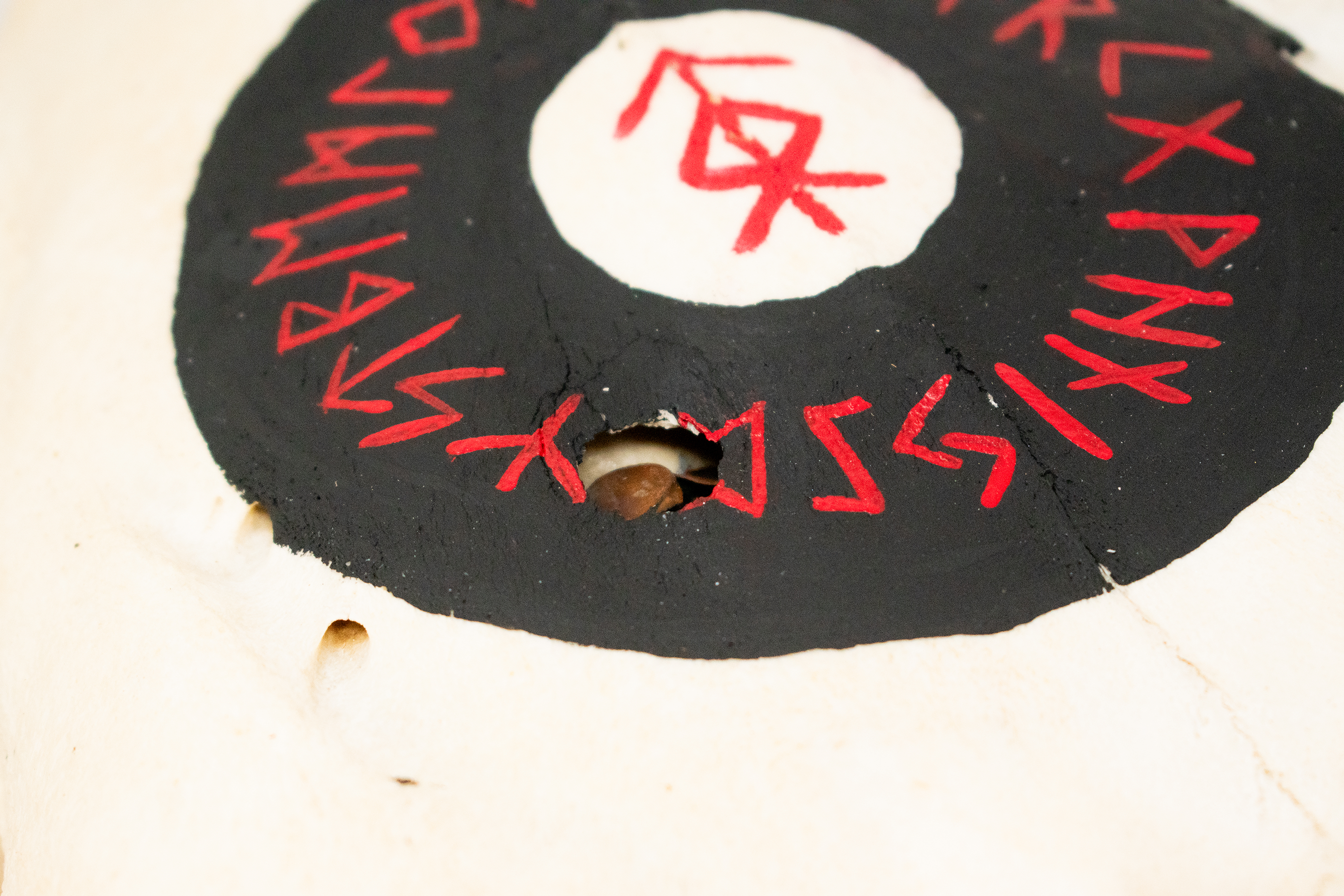 home protection bindrune cow skull