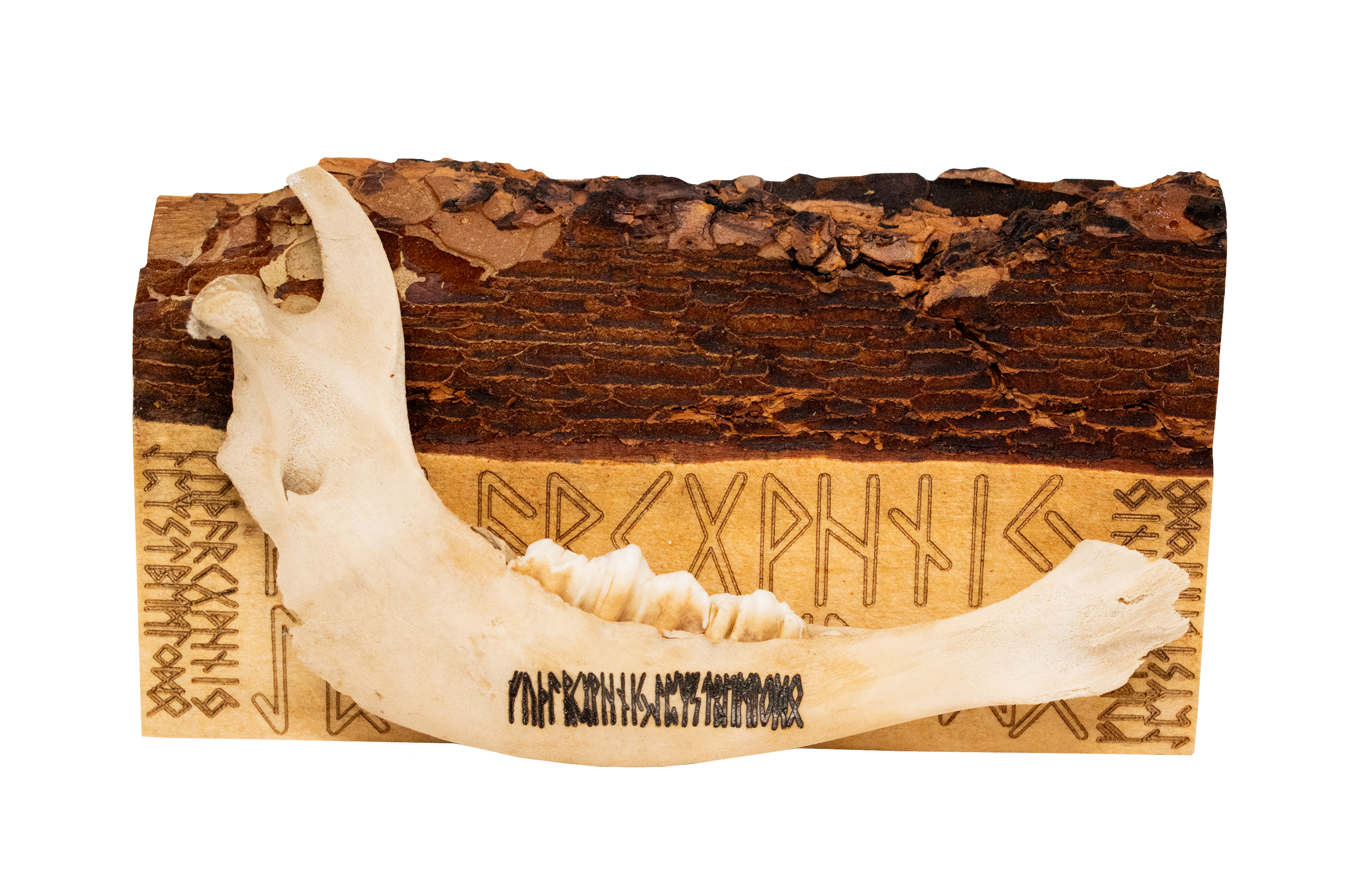 live edge jawbone wall hanger