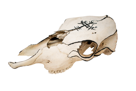 viking ship petroglyph cow skull
