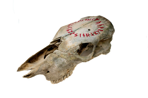 Image of runic circle cow skull